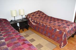 Отели типа «постель и завтрак» Mountain-Rest Pension Меркуря-Чук Двухместный номер с 1 кроватью или 2 отдельными кроватями-3